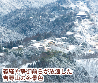 「判官びいき」の系譜／源 義経：第7回