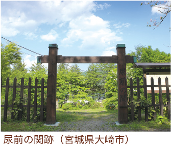 「判官びいき」の系譜／源 義経：第11回