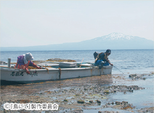 ＜荒井幸博のシネマつれづれ＞ 島にて