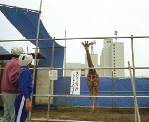 《セピア色の風景帖》 第四十三回 世界大動物園