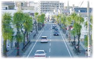 《セピア色の風景帖》 第四十八回 鉄砲町街路樹