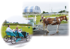 《セピア色の風景帖》 第六十四回 かみのやま競馬 その４