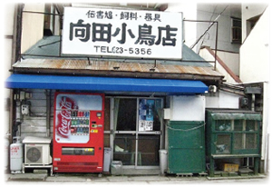 《セピア色の風景帖》 第八十四回 小鳥店