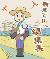 《おしえて！編集長》県産米の最新事情