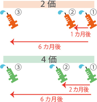 子宮頸がん（3）