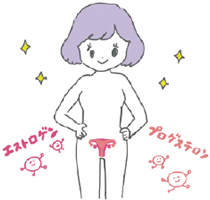 女性ホルモンとは？