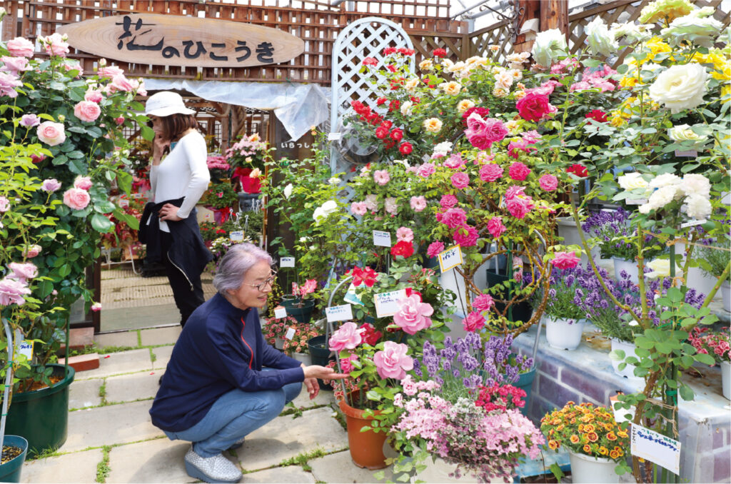 咲き誇る色とりどりの花／花のひこうき（山形市）