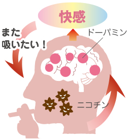 禁煙のススメ