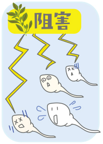 新しい男性避妊薬