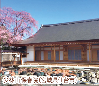 「判官びいき」の系譜／最上 義光：第30回