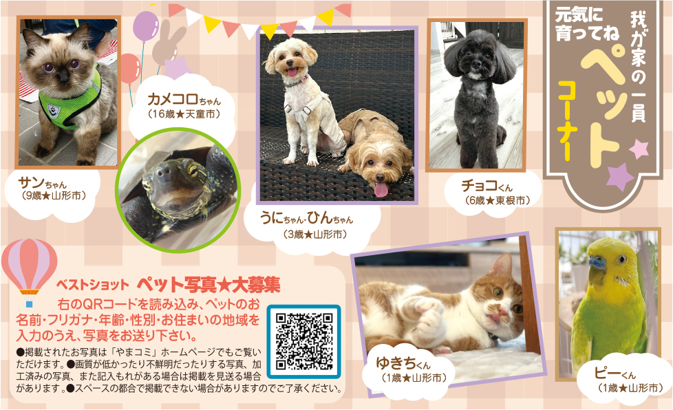 2月28日号　ペットコーナー