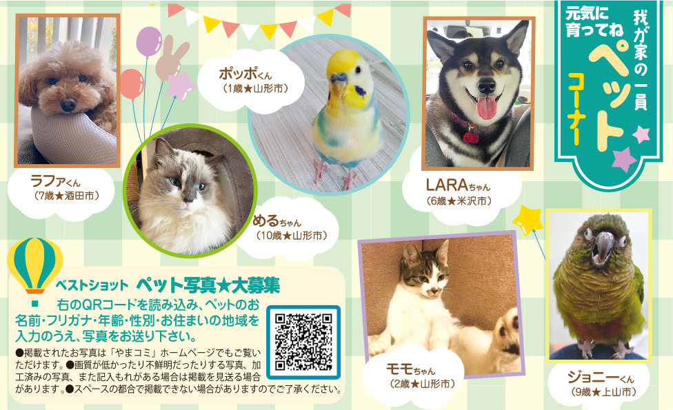 5月9日号　ペットコーナー