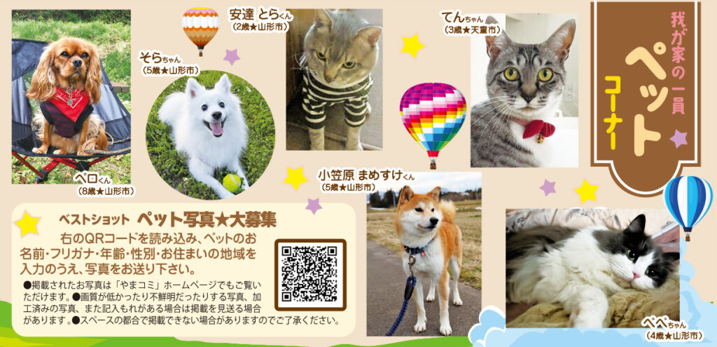 6月27日号　ペットコーナー