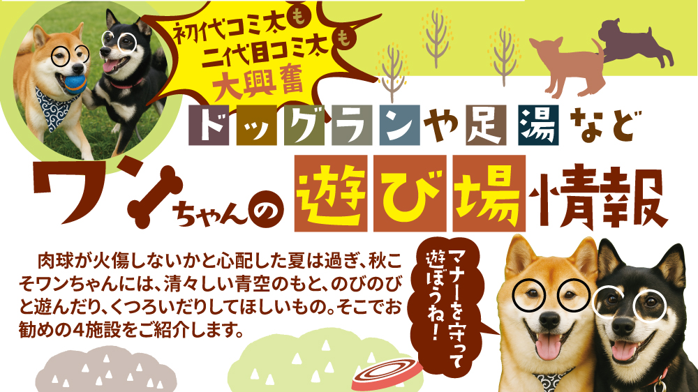 ワンちゃんの遊び場情報