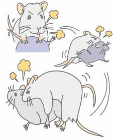 絶食と性欲