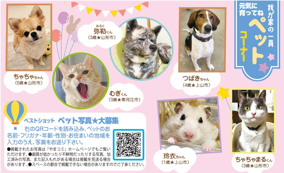 8月22日号　ペットコーナー