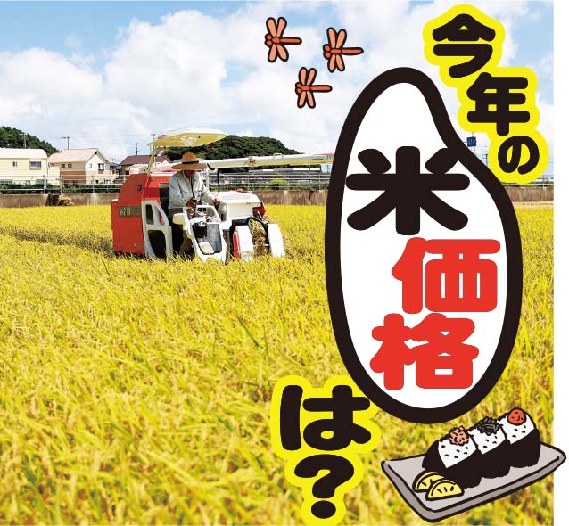 《教えて！編集長》今年の米格価は？