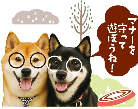 ドッグランや足湯など ワンちゃんの遊び場情報