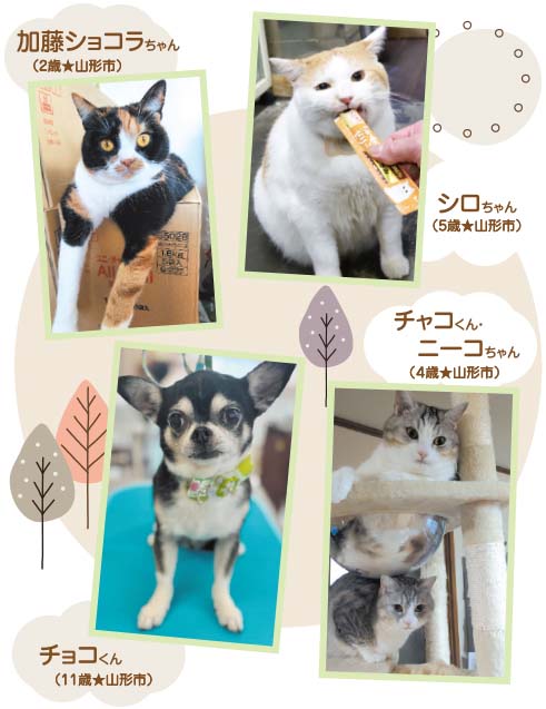 12月12日号　ペットコーナー