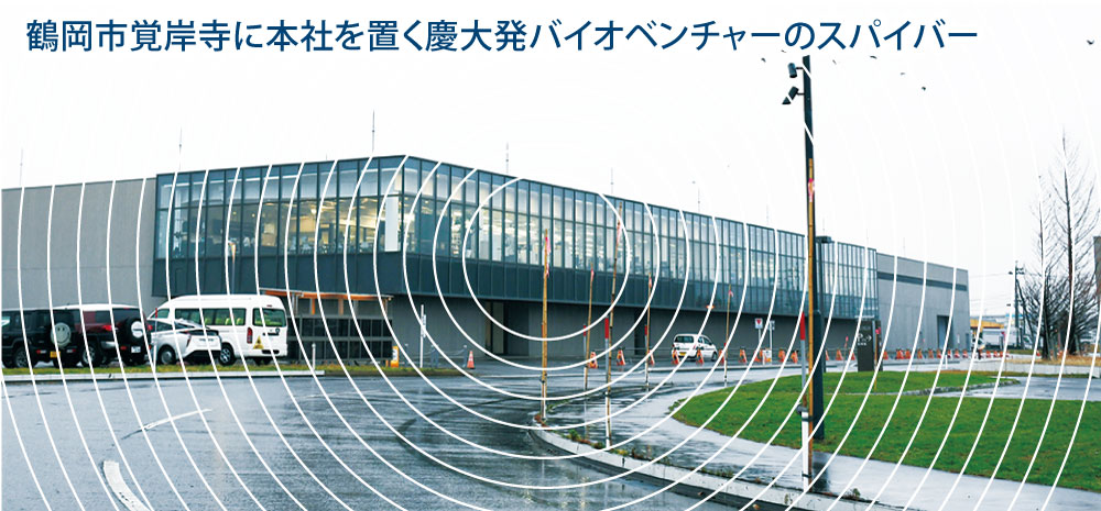 バイオユニコーンのスパイバー（鶴岡市）　従業員２割強削減へ